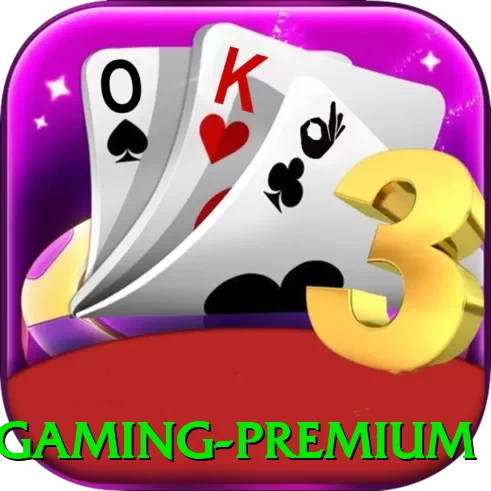 55ac Gaming Premium - pro