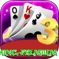 55ac Gaming Premium