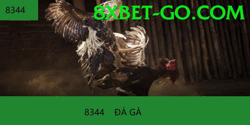 Đá Gà Trực Tiếp - 8xbet - Bang hội